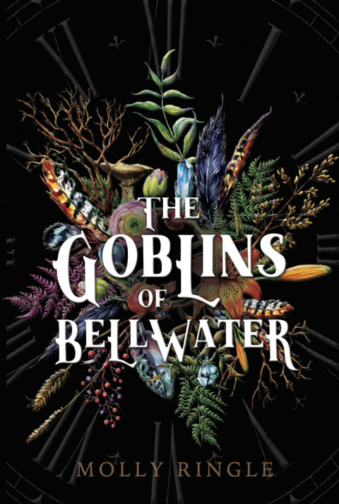 Cover image for book The Goblins of Bellwater