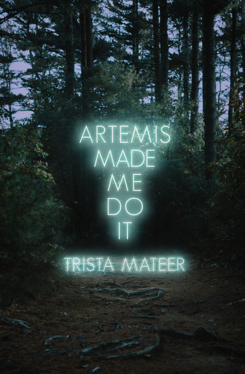 Cover image for book Artemis Made Me Do It