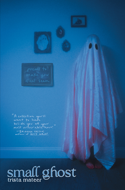 Cover image for book Small Ghost