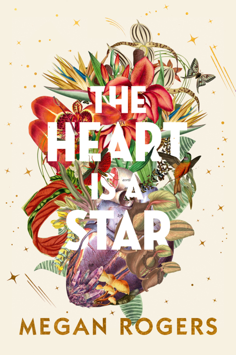 Cover image for book Heart is a Star