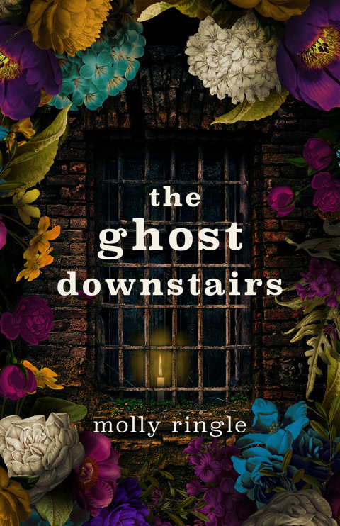 Cover image for book The Ghost Downstairs