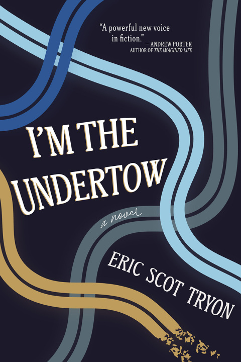 Cover image for book I'm the Undertow