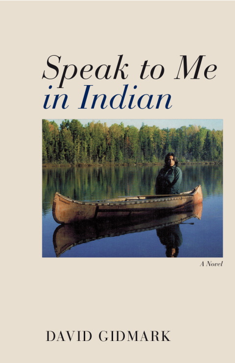 Cover image for book Speak to Me in Indian