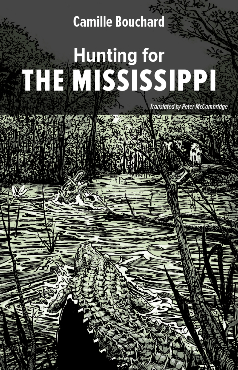 Cover image for book Hunting for the Mississippi