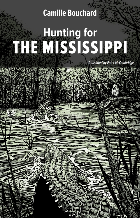 Cover image for book Hunting for the Mississippi