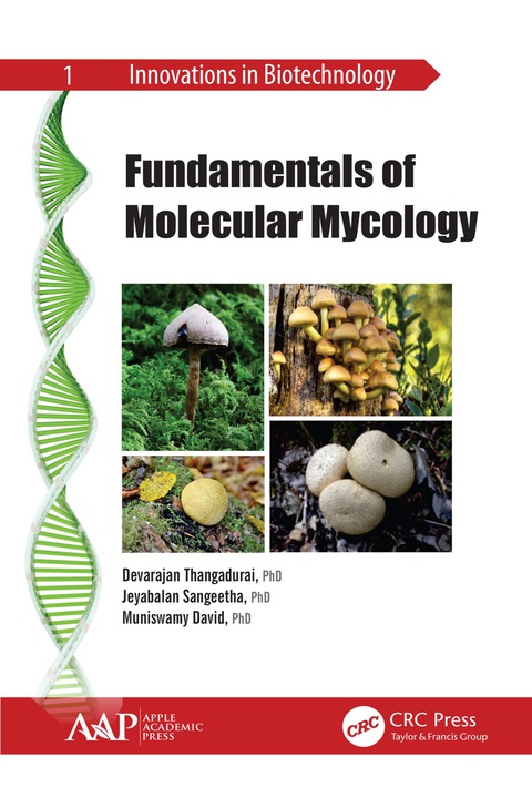 Cover image for book Fundamentals of Molecular Mycology