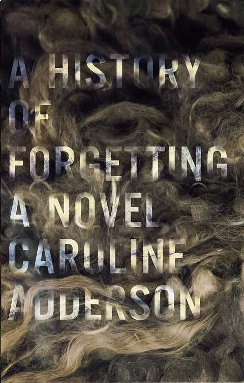 Cover image for book A History of Forgetting