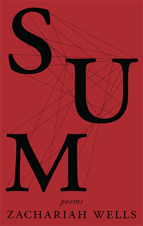 Cover image for book Sum