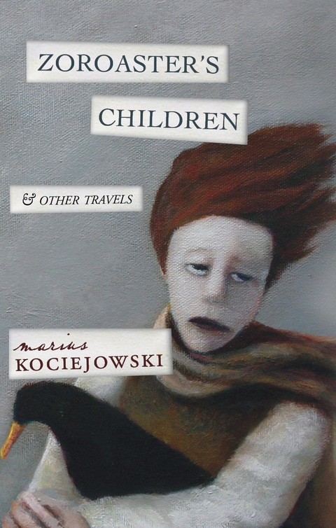 Cover image for book Zoroaster's Children