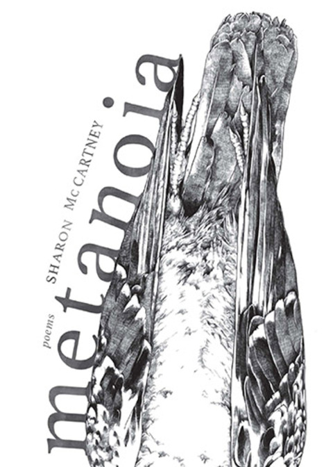 Cover image for book Metanoia