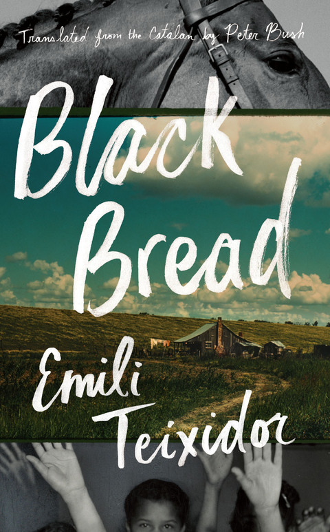 Cover image for book Black Bread