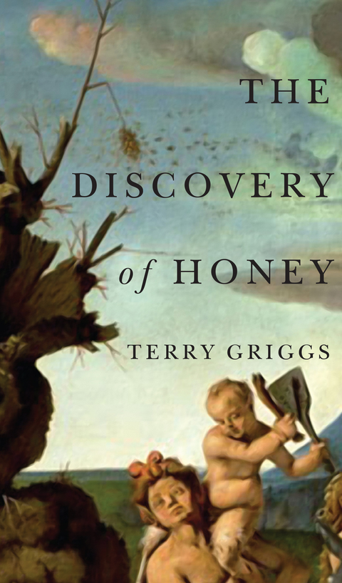 Cover image for book The Discovery of Honey
