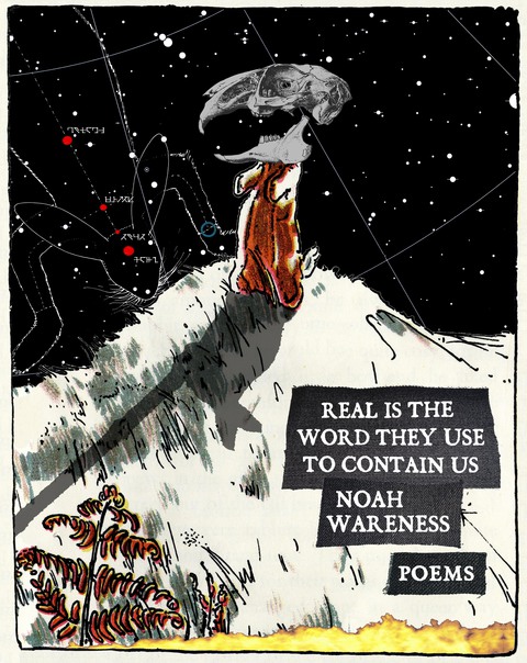 Cover image for book Real is the Word They Use to Contain Us