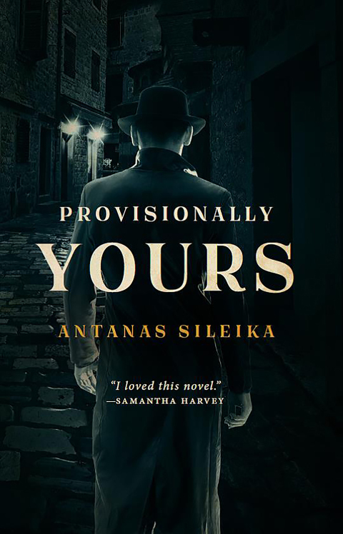 Cover image for book Provisionally Yours