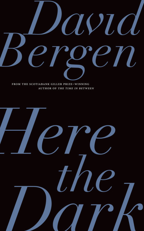 Cover image for book Here the Dark