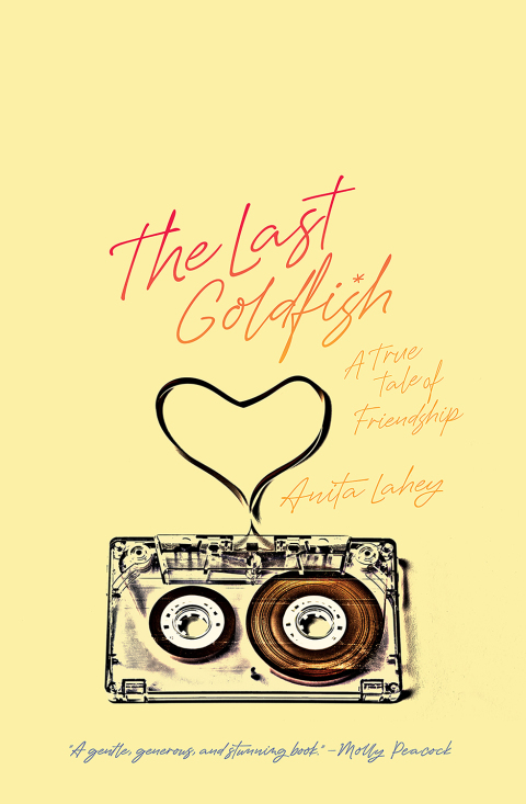 Cover image for book The Last Goldfish
