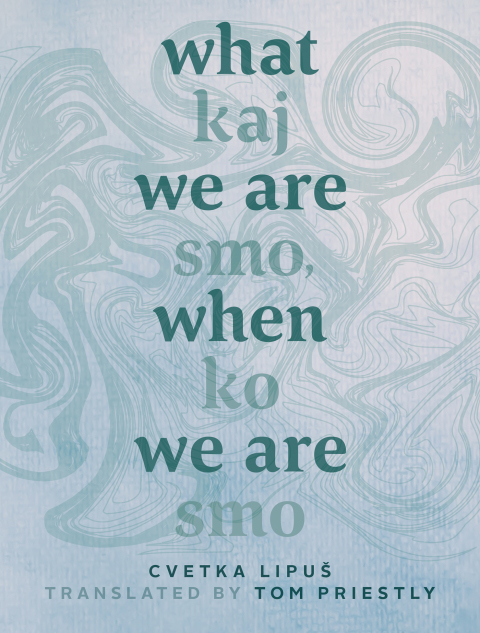 Cover image for book What We Are When We Are