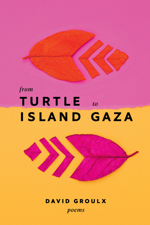 Cover image for book From Turtle Island to Gaza