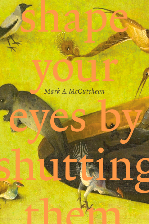 Shape Your Eyes by Shutting Them 