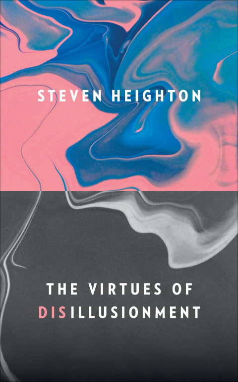 Cover image for book The Virtues of Disillusionment