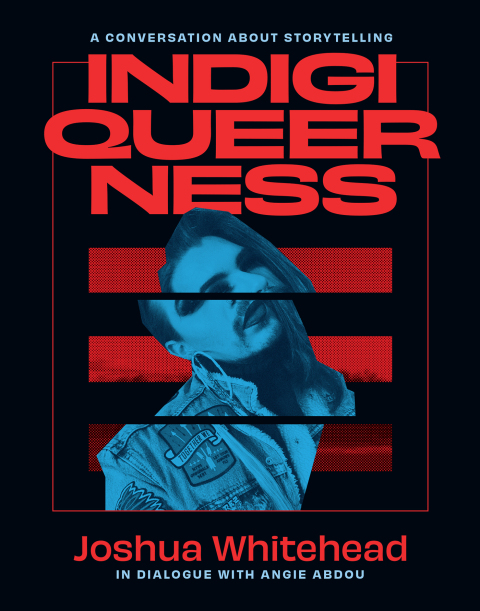Cover image for book Indigiqueerness