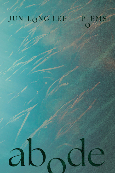 Cover image for book Abode