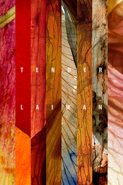 Cover image for book TENDER