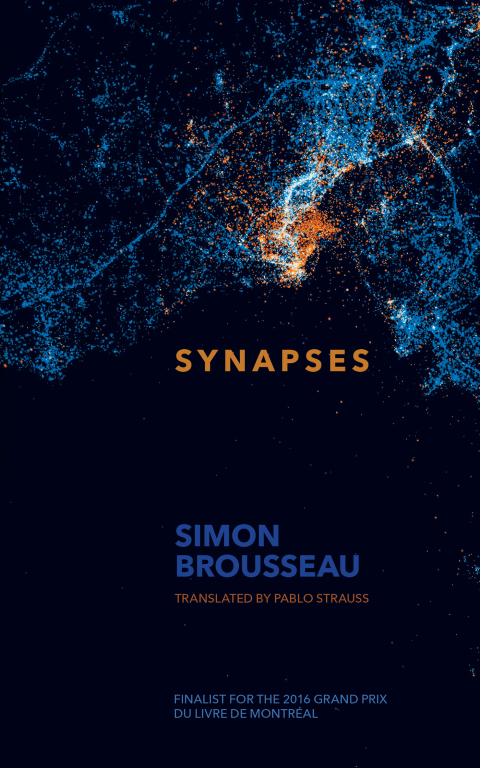 Cover image for book Synapses