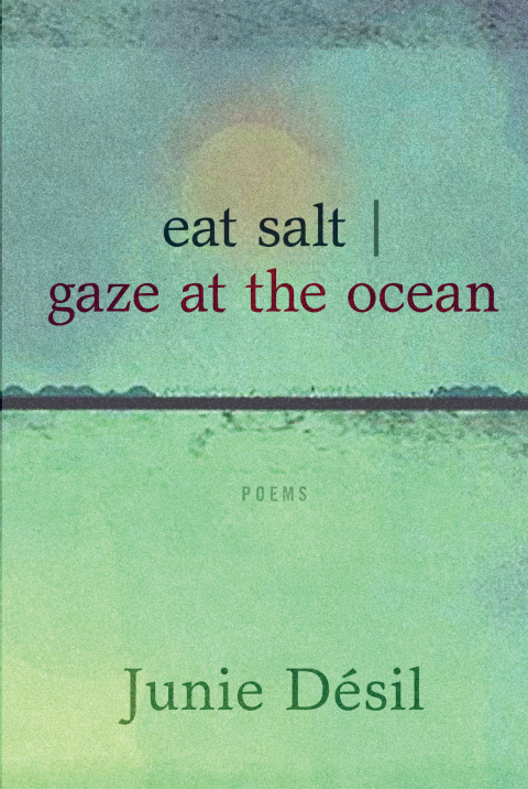 Cover image for book eat salt | gaze at the ocean
