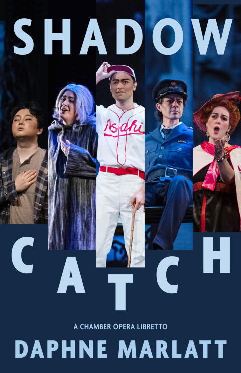 Cover image for book Shadow Catch