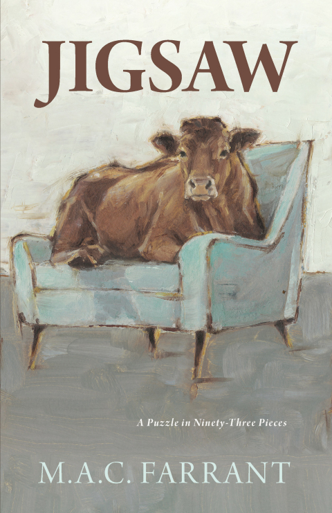 Cover image for book Jigsaw