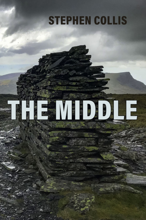 Cover image for book The Middle