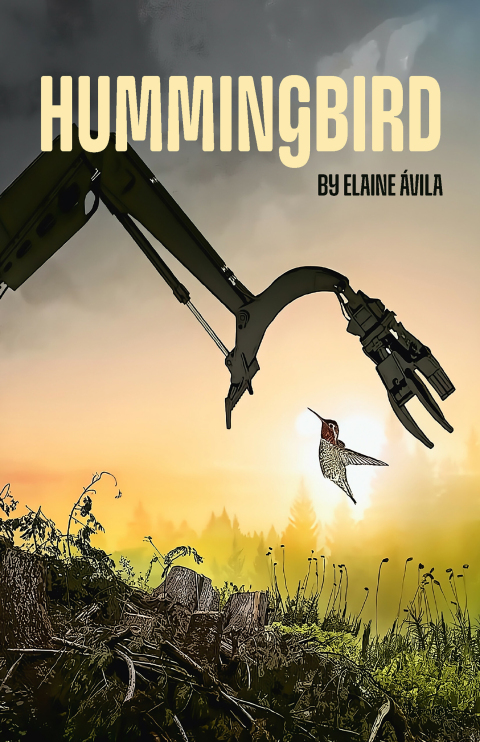 Cover image for book Hummingbird
