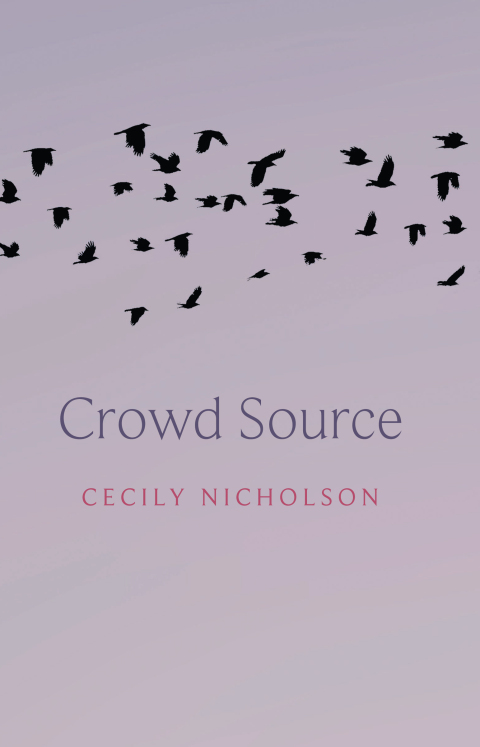 Cover image for book Crowd Source