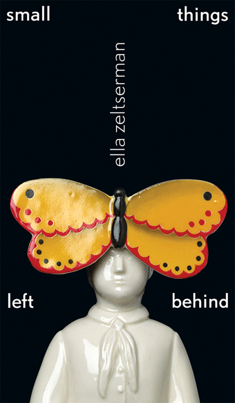 Cover image for book small things left behind