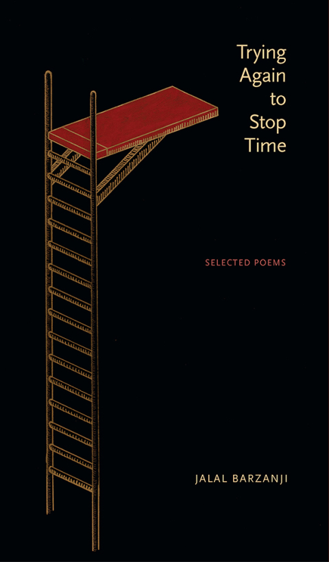Cover image for book Trying Again to Stop Time