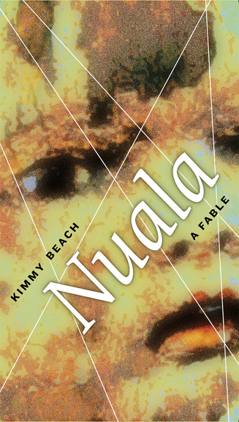 Cover image for book Nuala