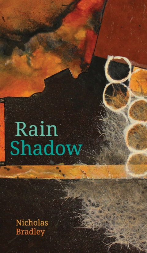 Cover image for book Rain Shadow