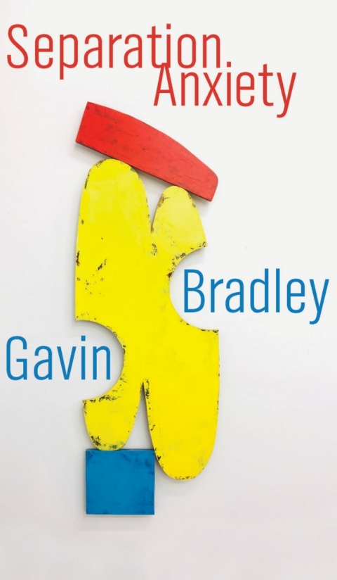 Cover image for book Separation Anxiety