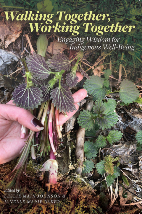 Cover image for book Walking Together, Working Together