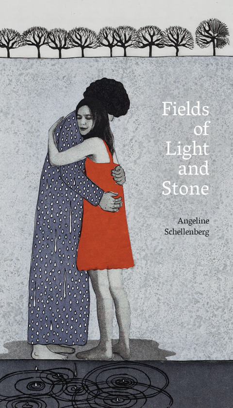 Cover image for book Fields of Light and Stone