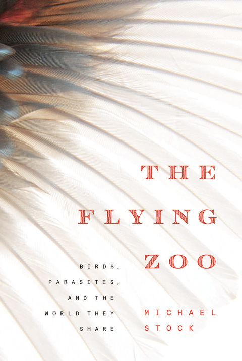 Cover image for book The Flying Zoo