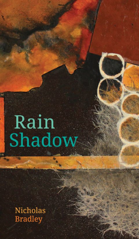 Cover image for book Rain Shadow