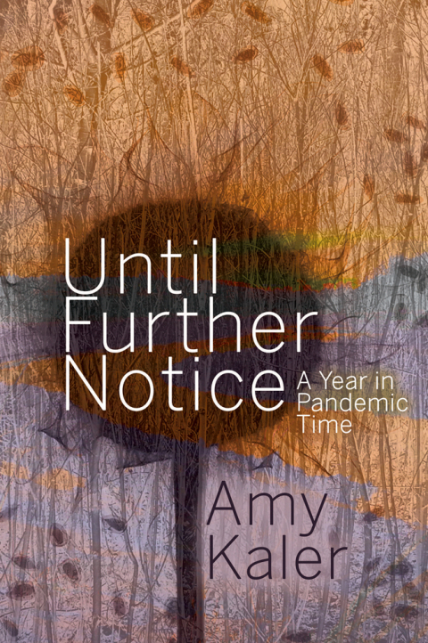 Cover image for book Until Further Notice
