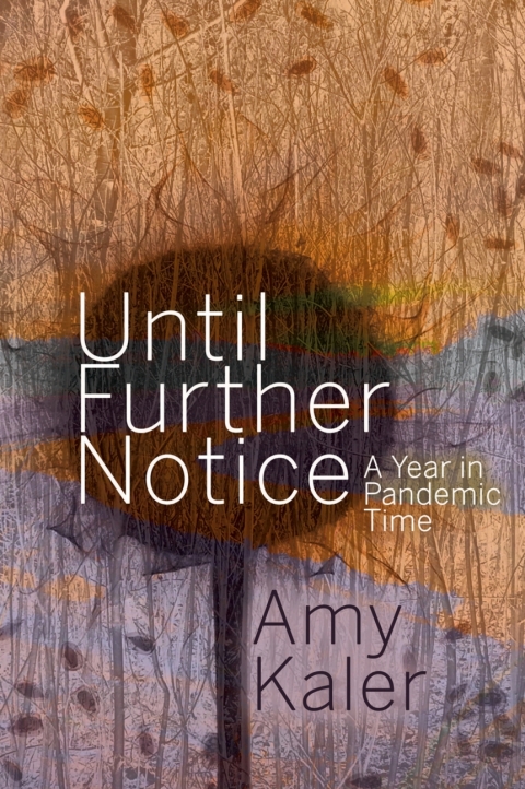 Cover image for book Until Further Notice