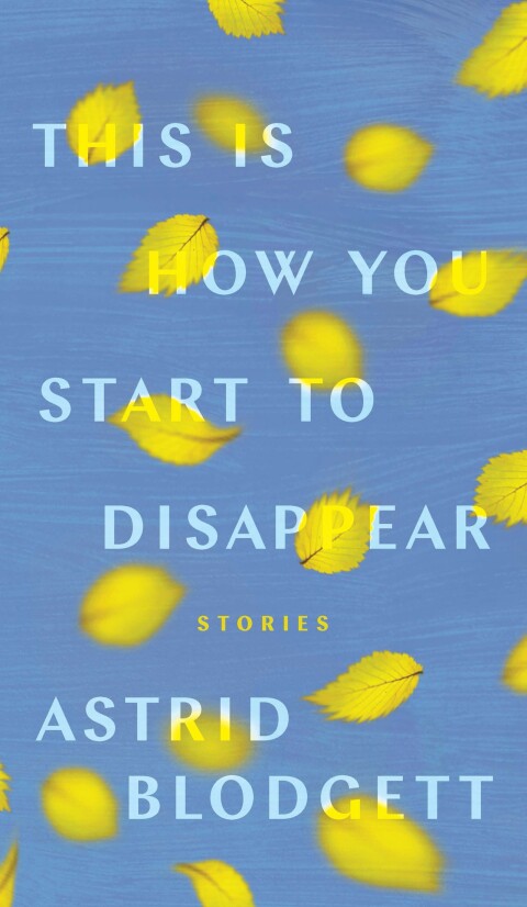 Cover image for book This Is How You Start to Disappear