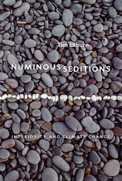 Cover image for book Numinous Seditions