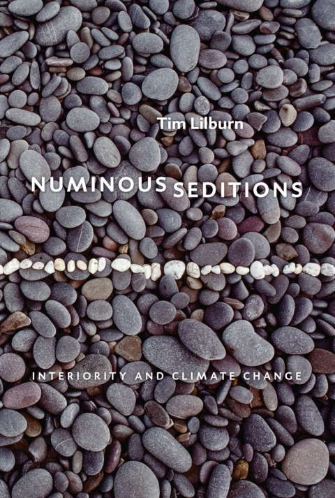 Cover image for book Numinous Seditions