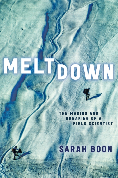 Cover image for book Meltdown