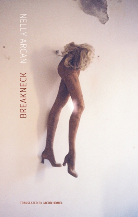 Cover image for book Breakneck